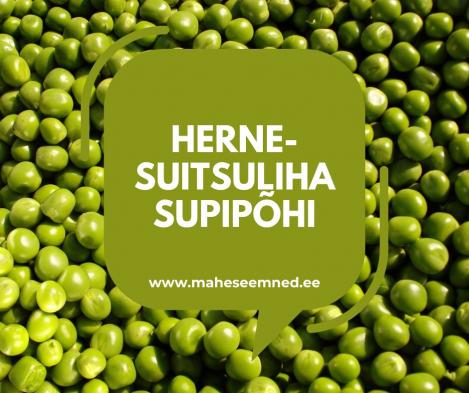 HERNE-SUITSULIHA SUPIPÕHI- RETSEPT