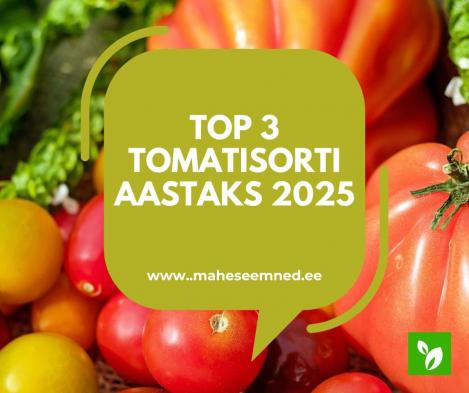 Top 3 tomatisorti aastaks 2025