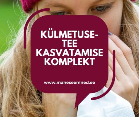 Pakis - Külmetusetee kasvatamise komplekt, maheseeme